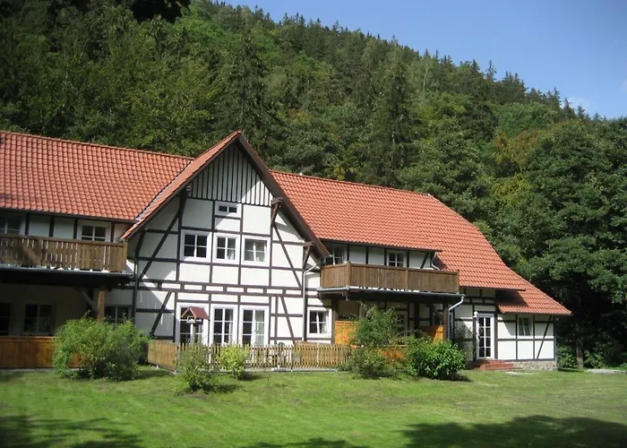 Σπίτι διακοπών Nexoe, 30 Qm, 1 Schlafzimmer N4 Ilsenburg