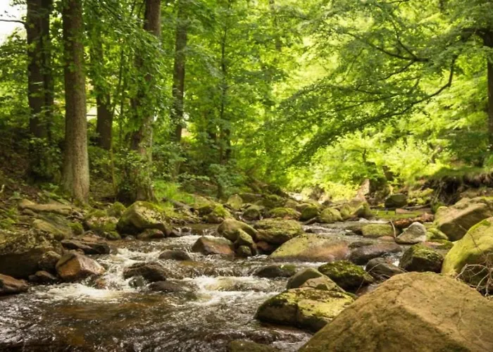 Nexoe, 30 Qm, 1 Schlafzimmer N4